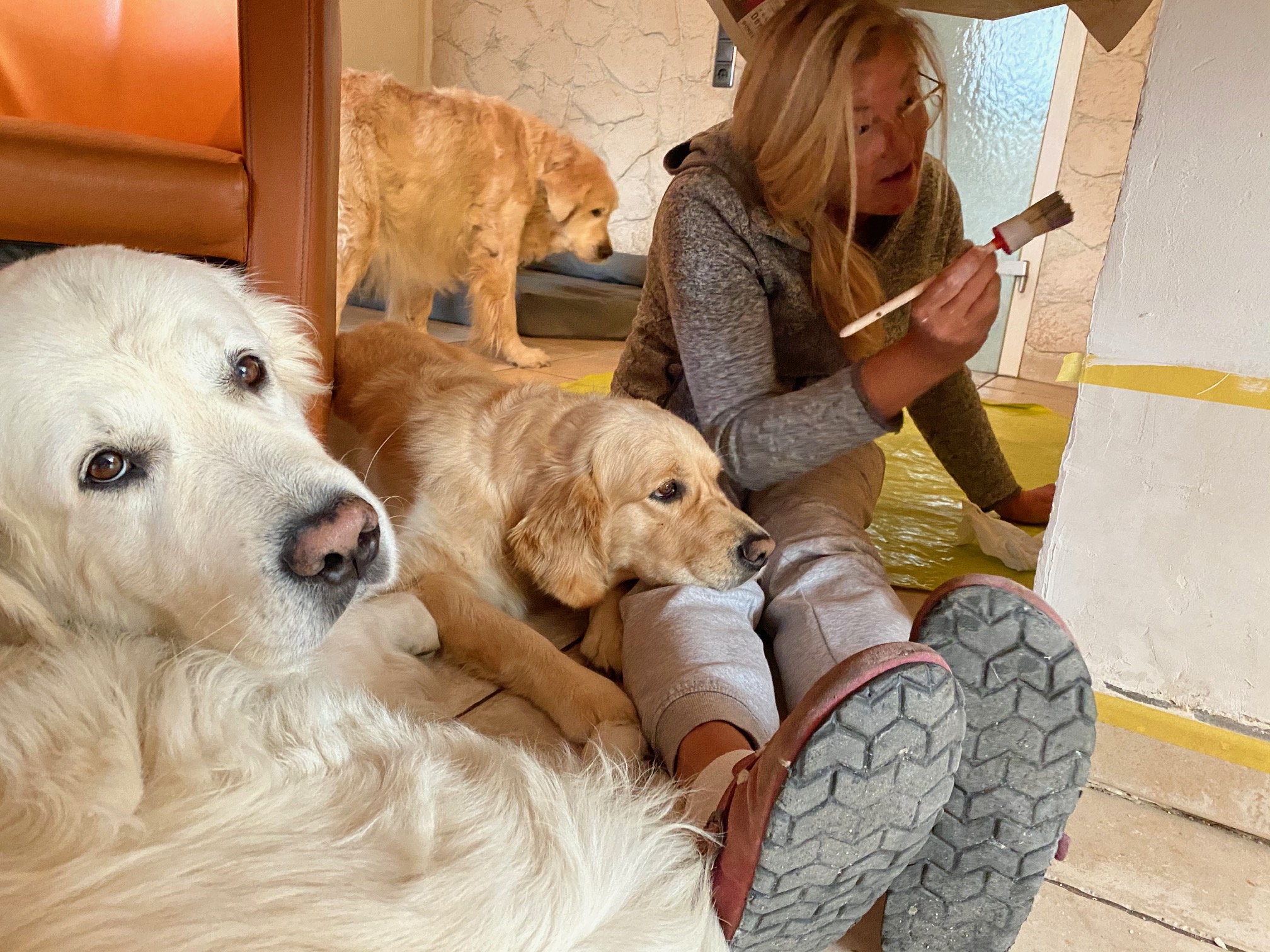 Golden Valley of Peace - Golden Retriever