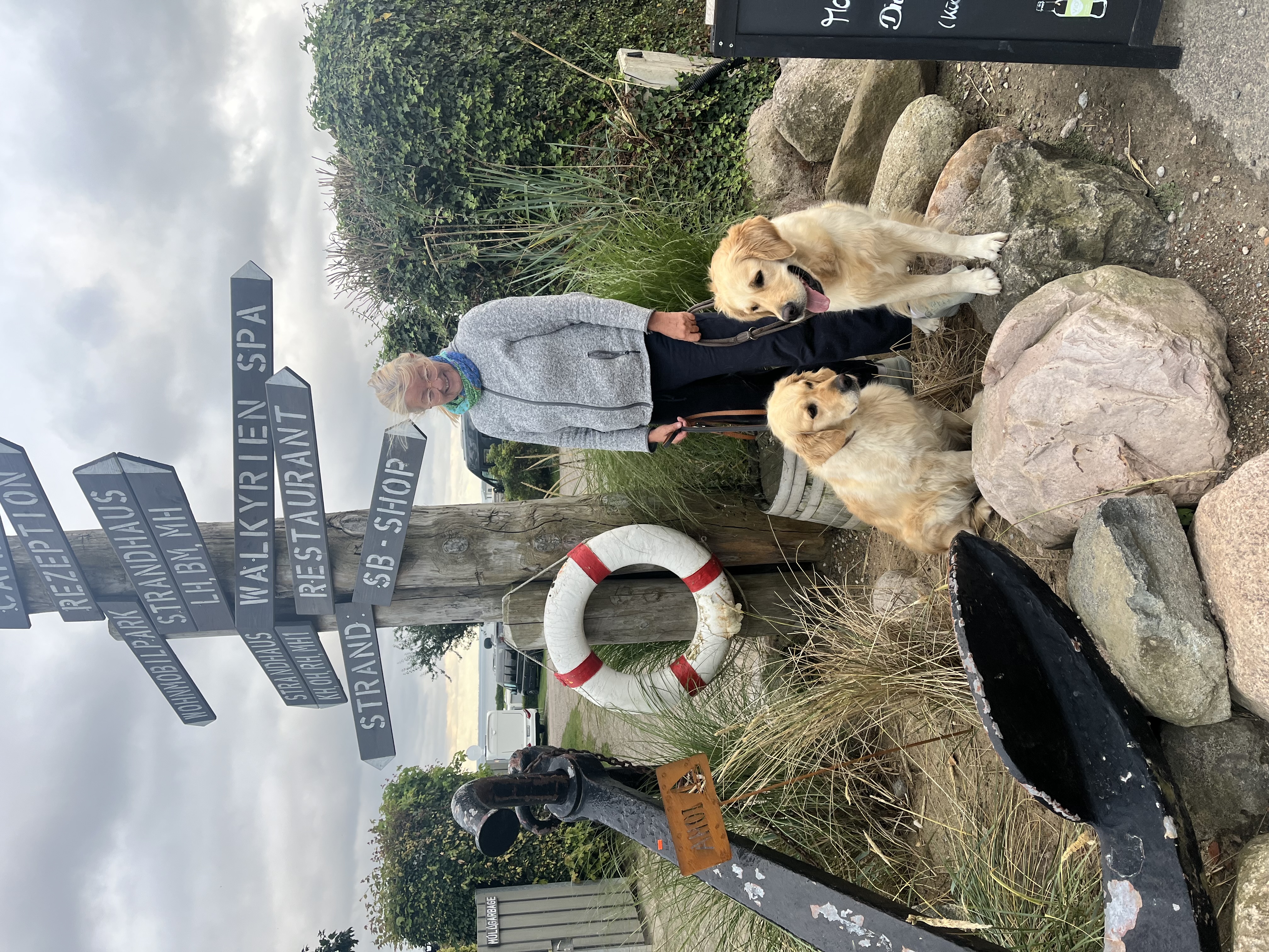 Golden Valley of Peace - Golden Retriever