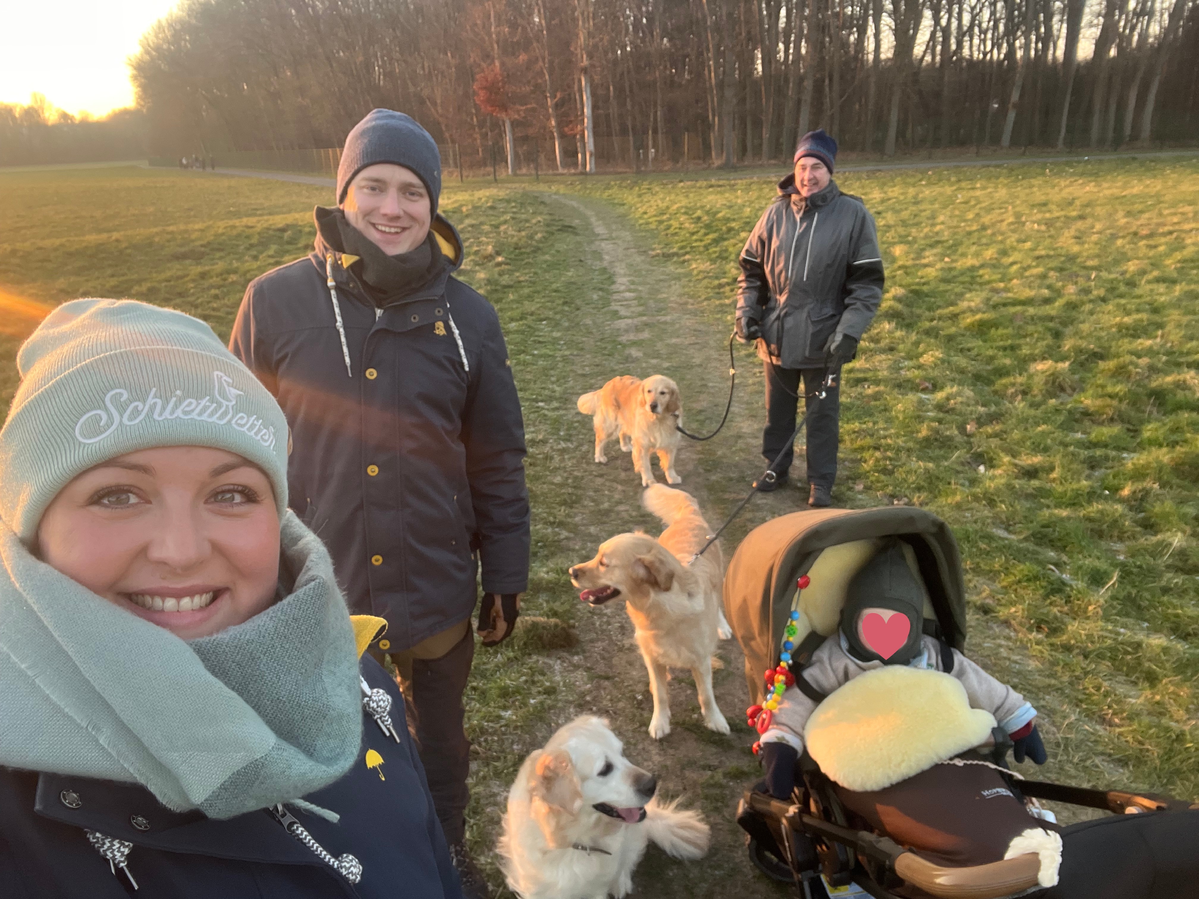 Golden Valley of Peace - Golden Retriever