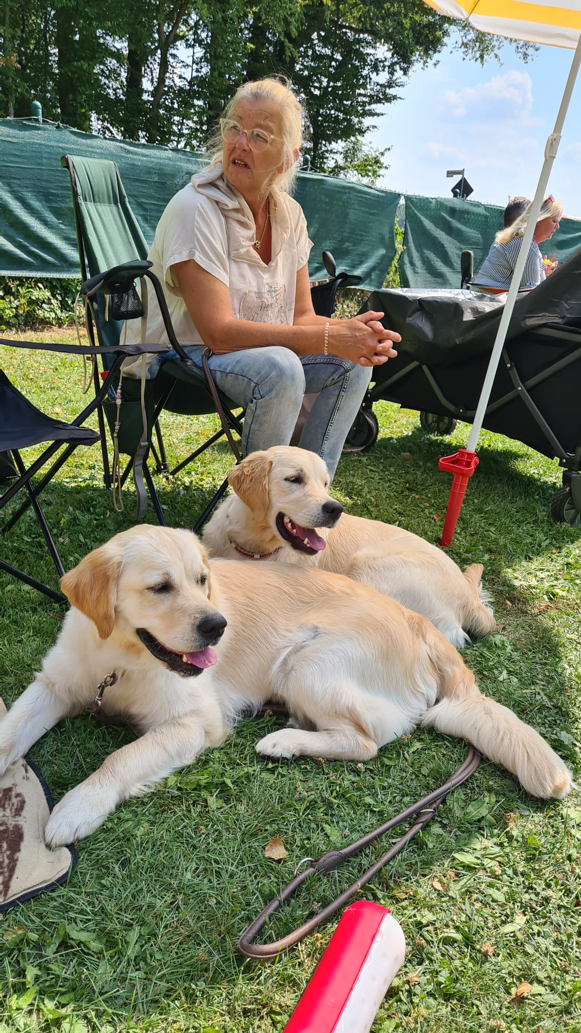 Golden Valley of Peace - Golden Retriever