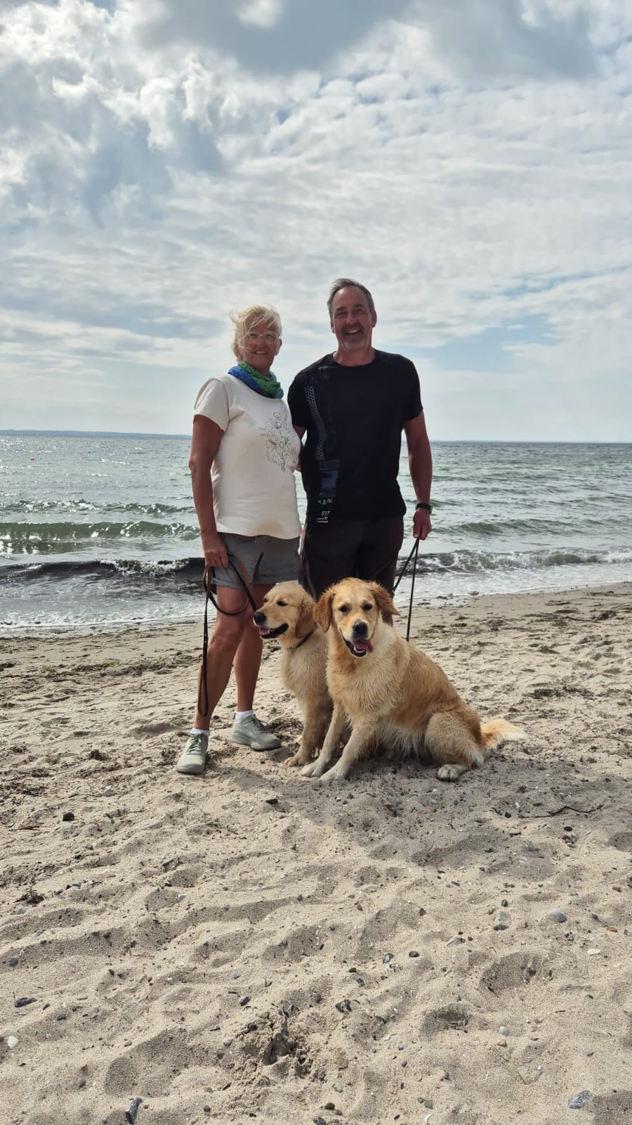 Golden Valley of Peace - Golden Retriever