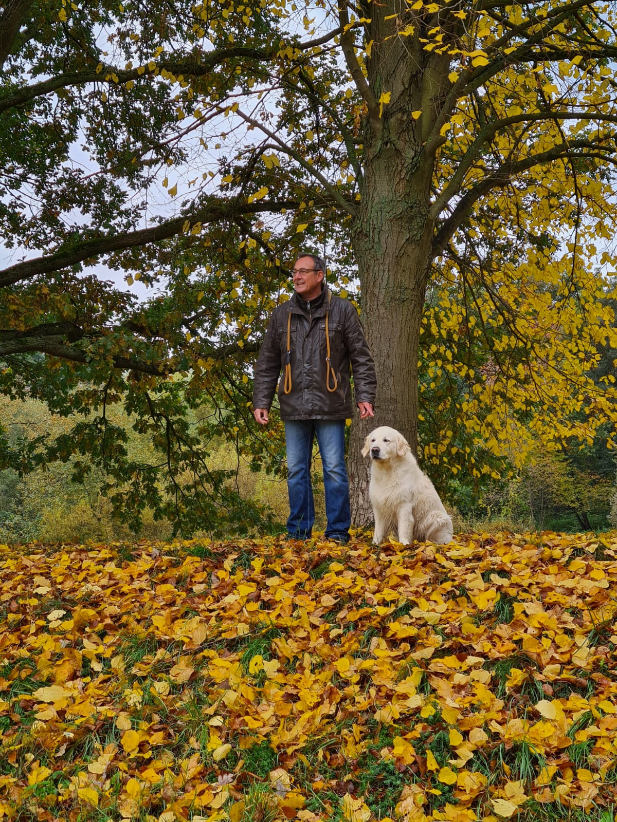 Golden Valley of Peace - Golden Retriever