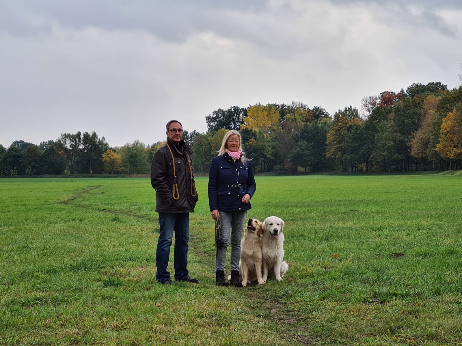 Golden Valley of Peace - Golden Retriever