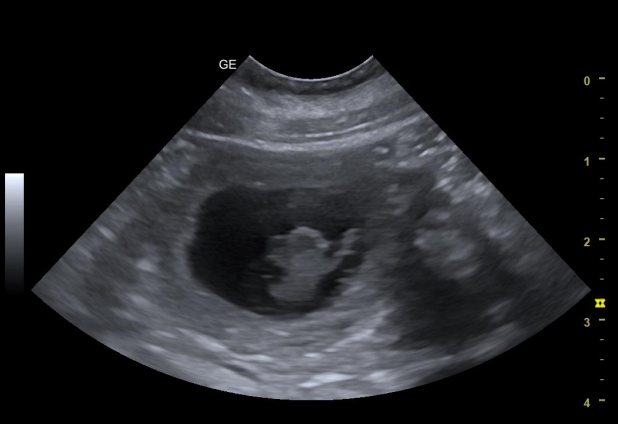 Golden Valley of Peace - Golden Retriever